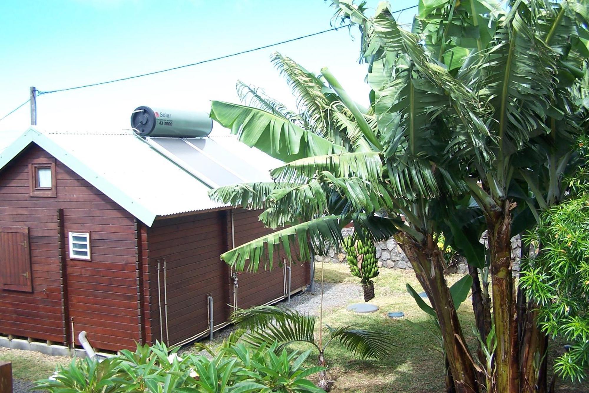 Les Bungalows Les Vanilliers, Sud Sauvage Avec Piscine Saint-Joseph Cameră foto