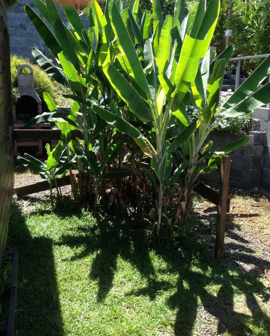 Les Bungalows Les Vanilliers, Sud Sauvage Avec Piscine Saint-Joseph Exterior foto
